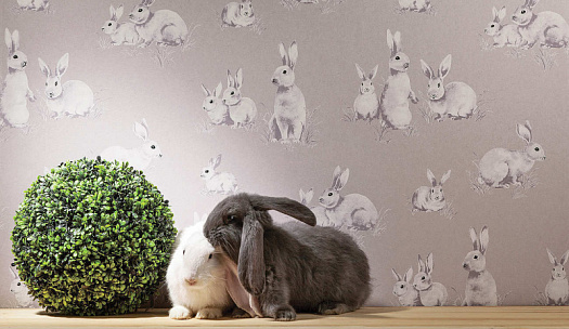 Обои в интерьере артикул Twins 1 011, Twins, Milassa Обои в интерьере артикул Twins 1 011, Twins, Milassa